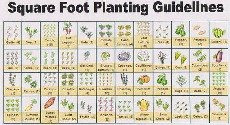 The Square Foot Gardening Method