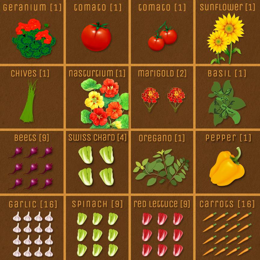 Printable Square Foot Planting Guide