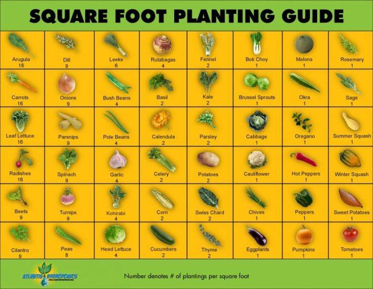 Square Foot Gardening Plant Spacing Guide W Printableshareable Chart