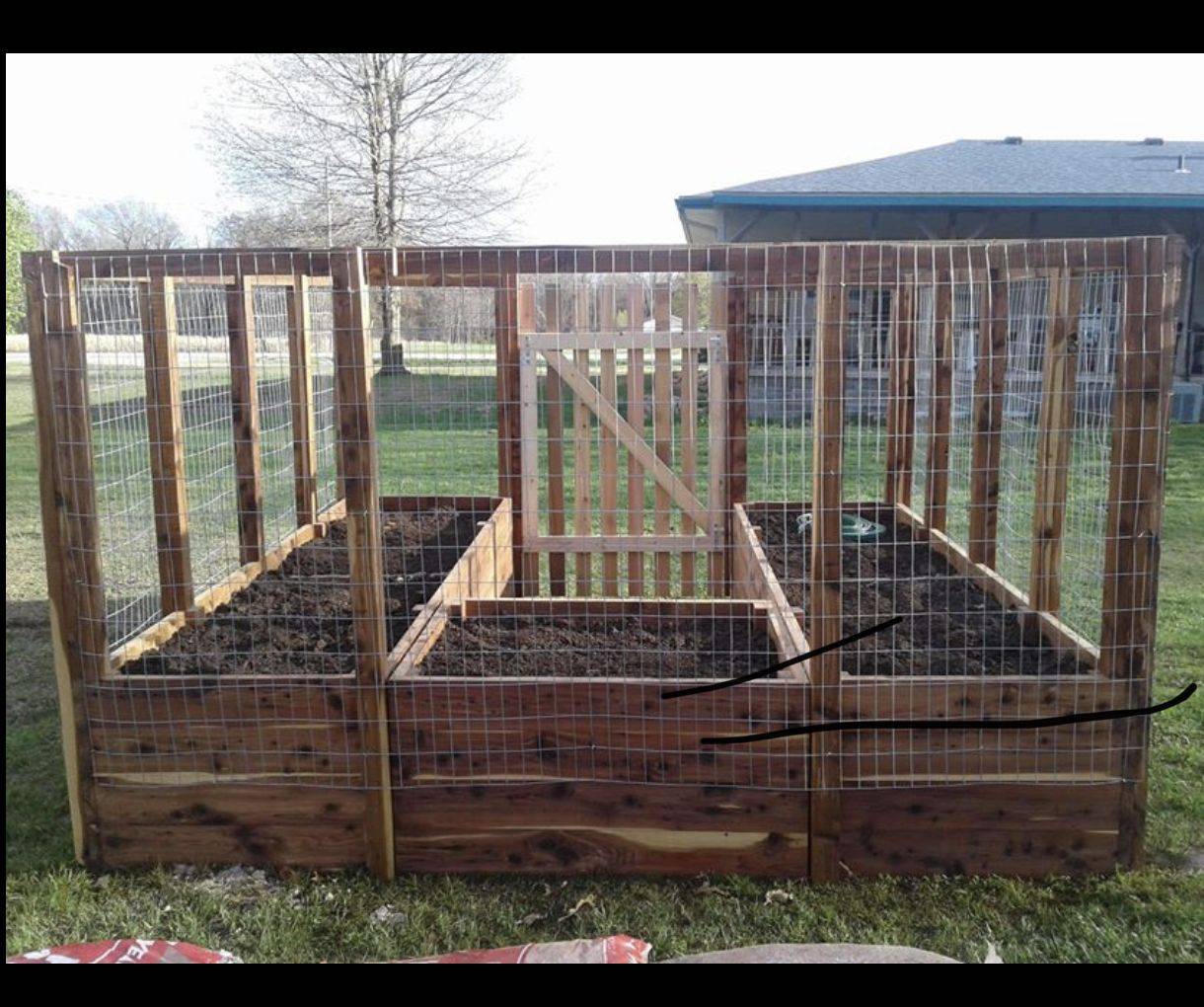 21 Diy Deer Proof Raised Garden Beds Ideas Worth A Look Sharonsable