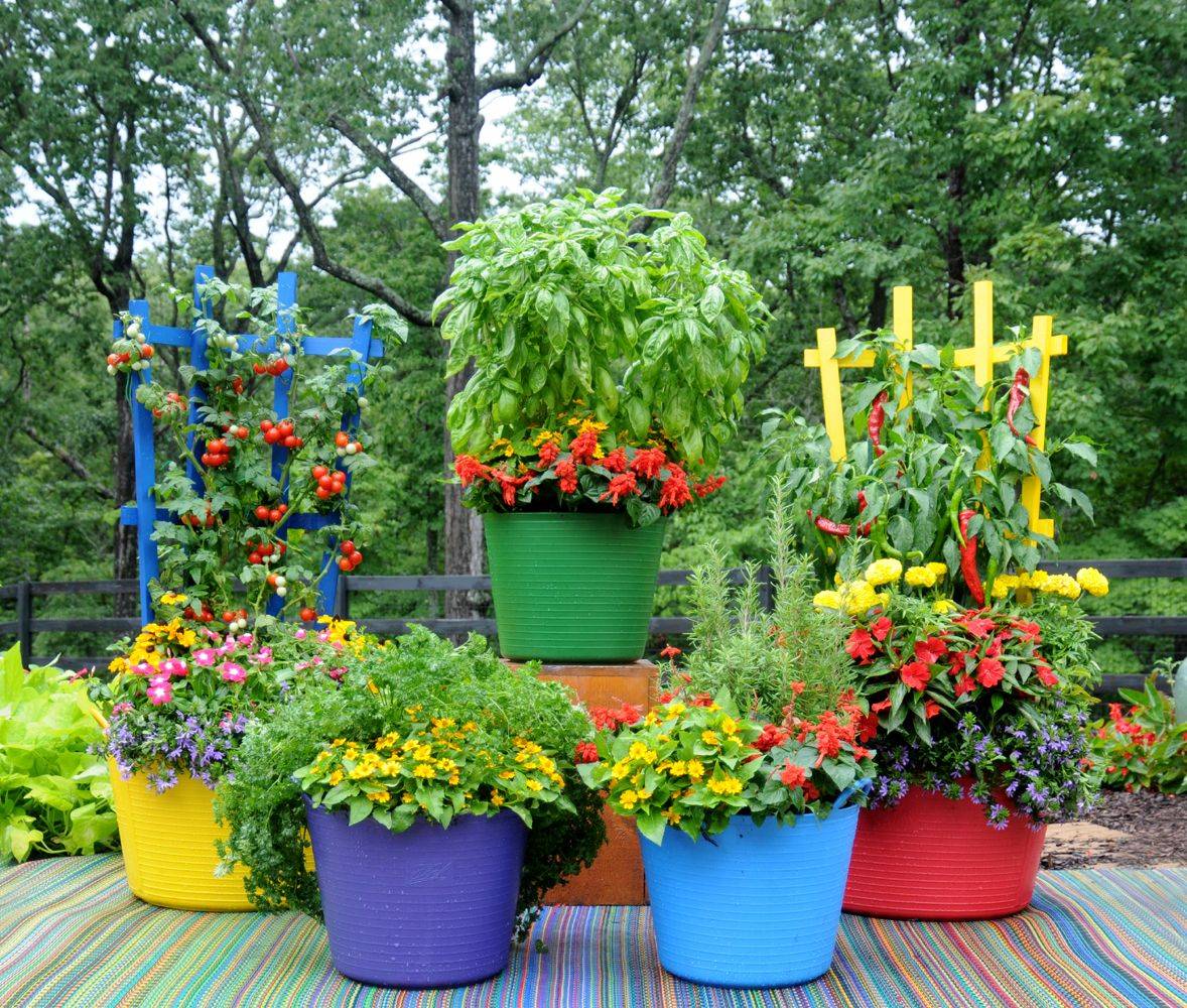 22 Edible Container Garden Ideas You Should Look | SharonSable