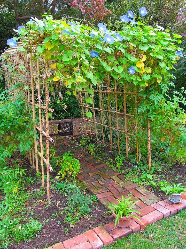 23 Bamboo Garden Pergola Ideas For This Year SharonSable