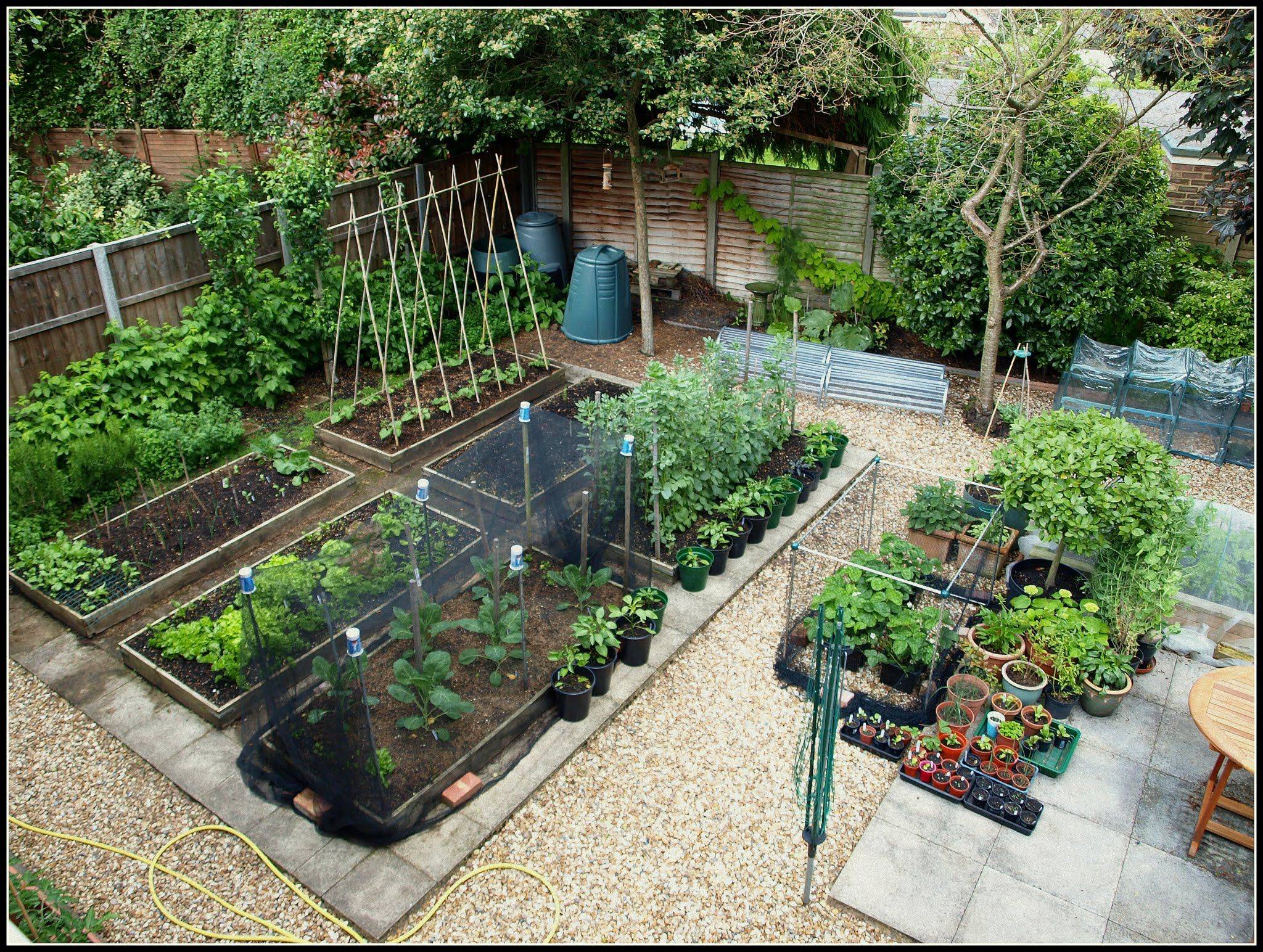 24 Plotting a Garden Ideas To Consider | SharonSable