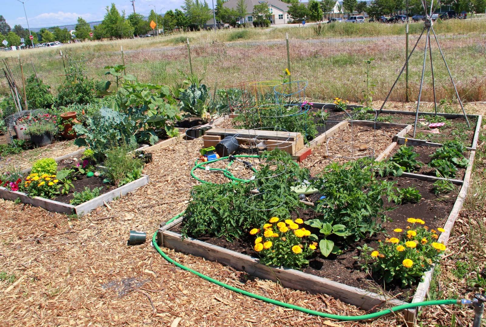 22 Designing Garden Plots Ideas You Must Look | SharonSable