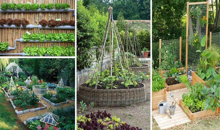 22 Fruit Vegetable Garden Ideas You Cannot Miss | SharonSable