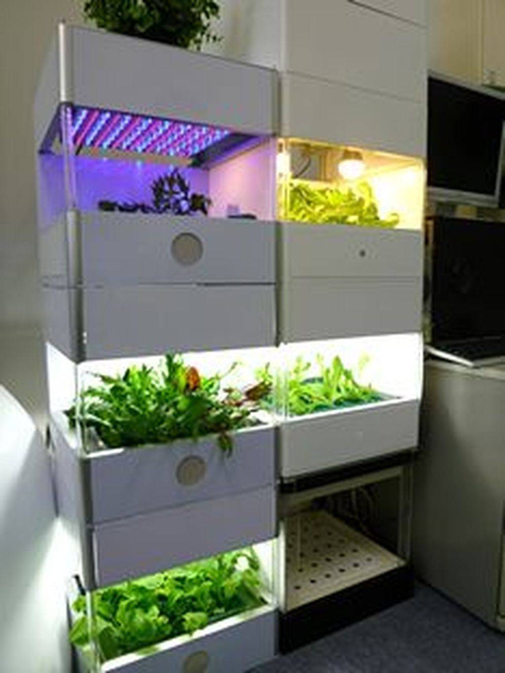 22 Hydroponic Smart Garden Ideas To Try This Year | SharonSable