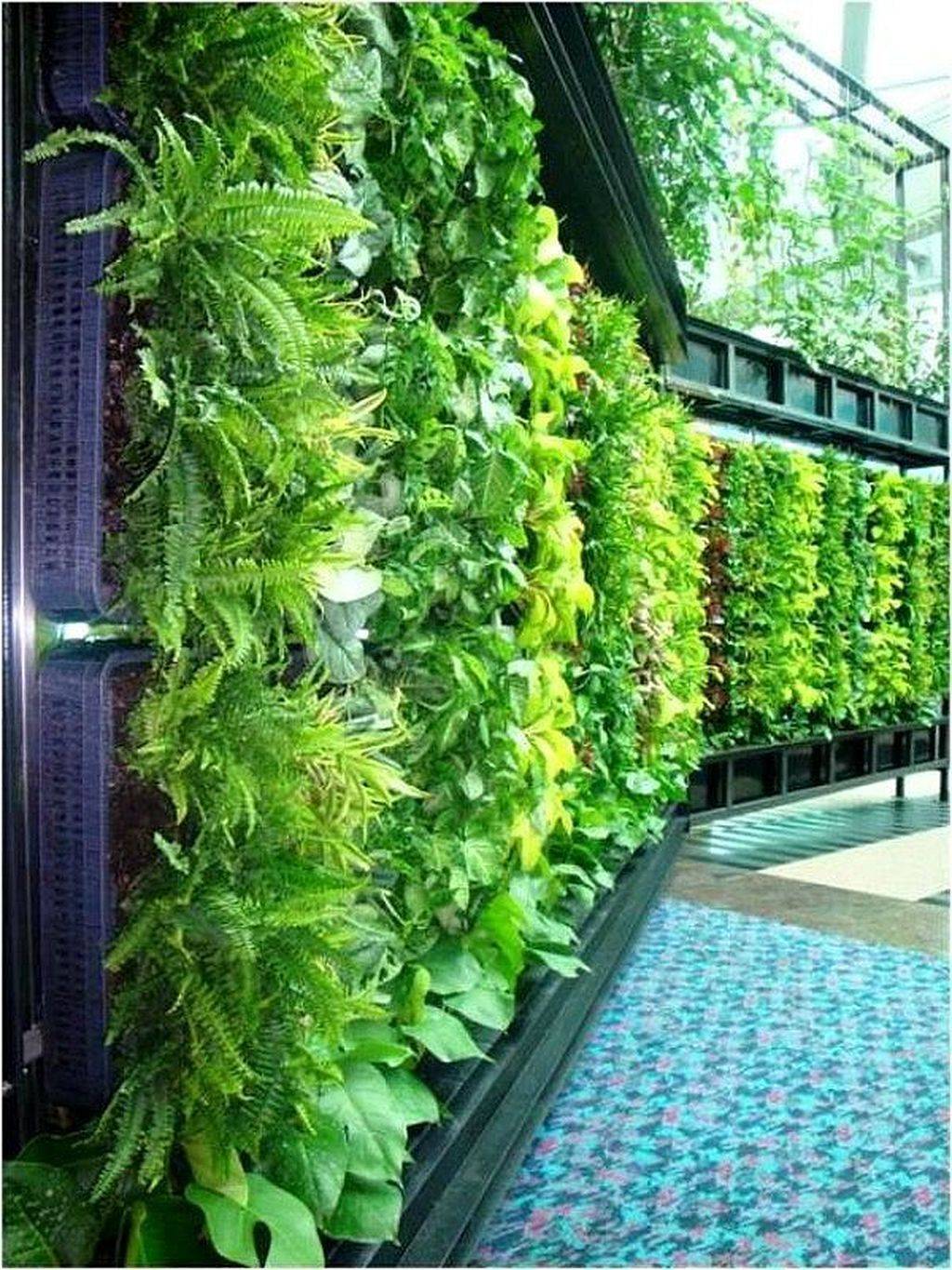 Diy Hydroponic Vertical Garden Ideas