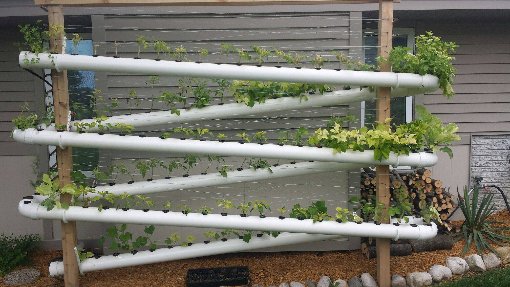 19 DIY Vertical PVC Pipe Hydroponic Garden Ideas You Cannot Miss ...