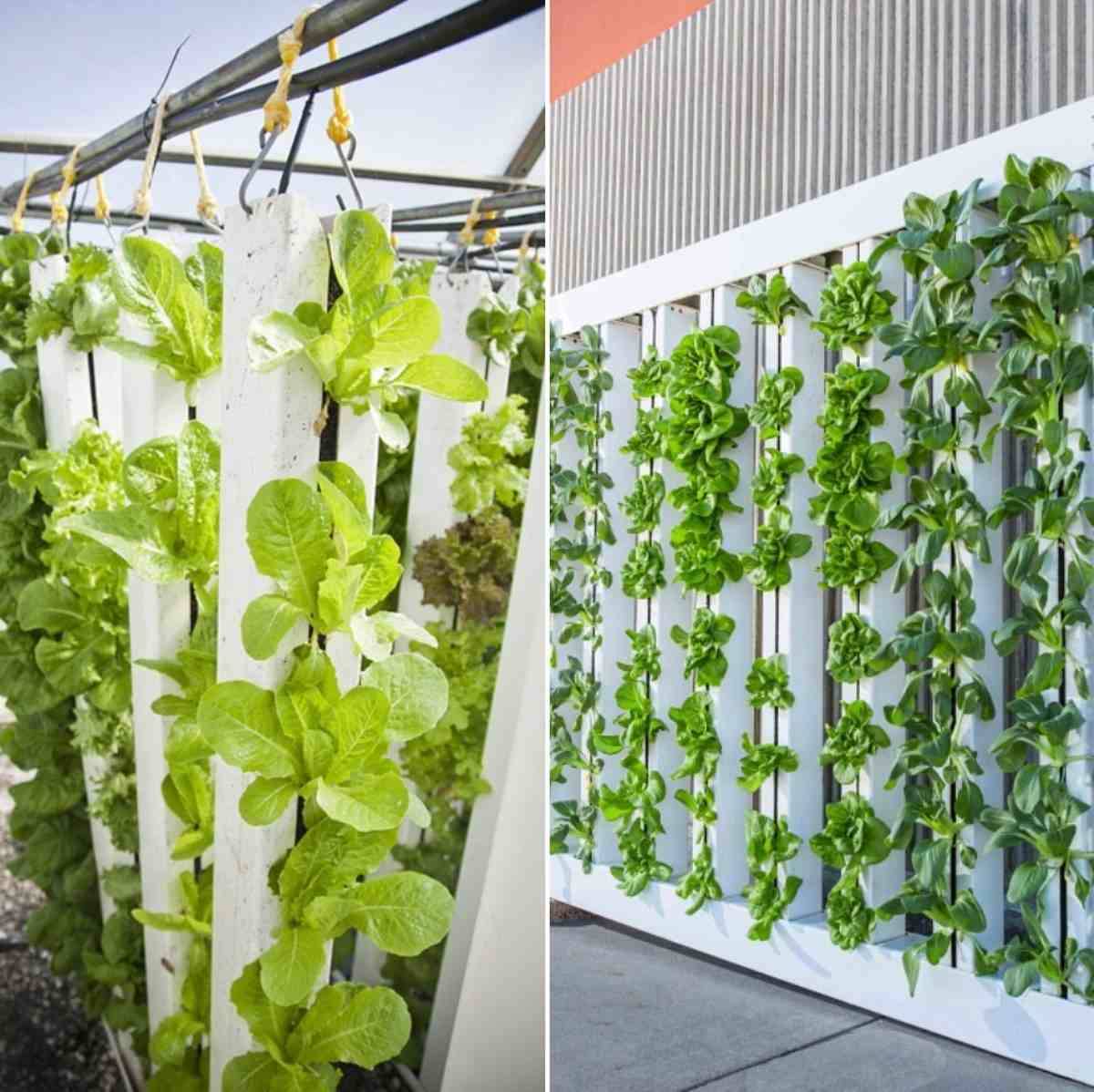 19 DIY Vertical PVC Pipe Hydroponic Garden Ideas You Cannot Miss ...