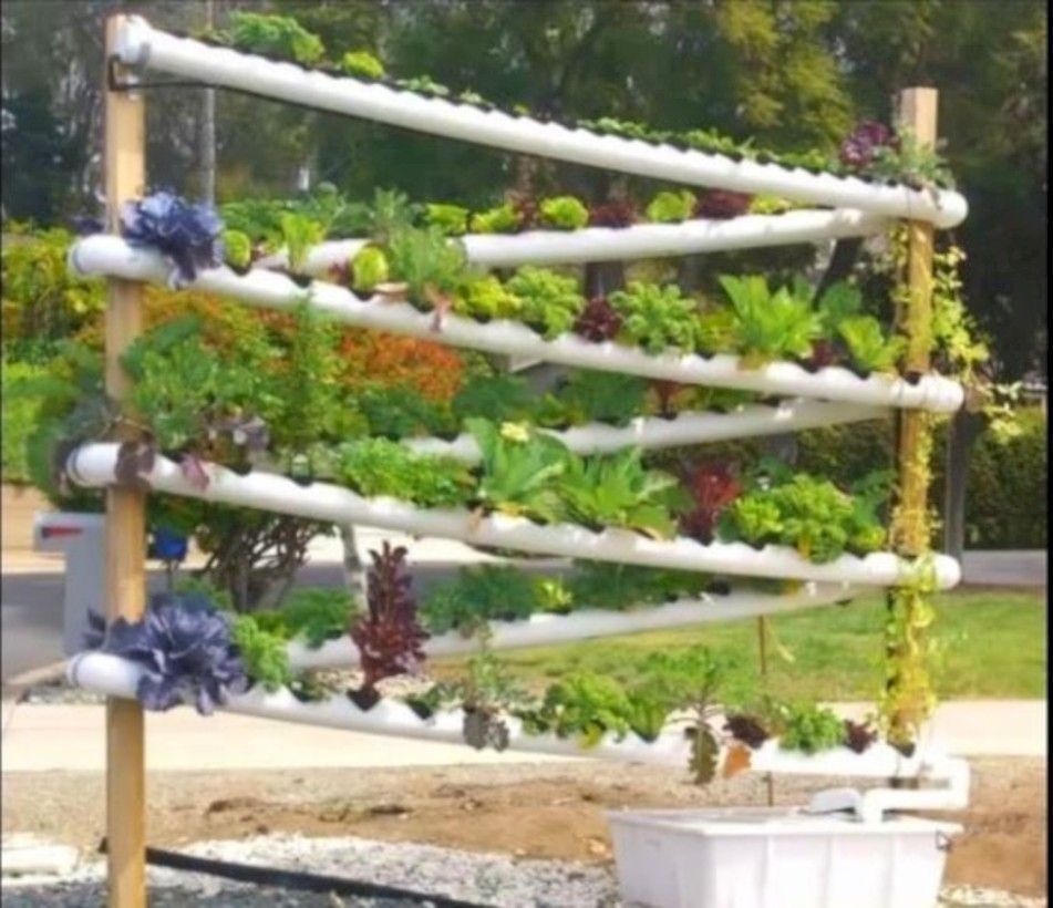 19 DIY Vertical PVC Pipe Hydroponic Garden Ideas You Cannot Miss