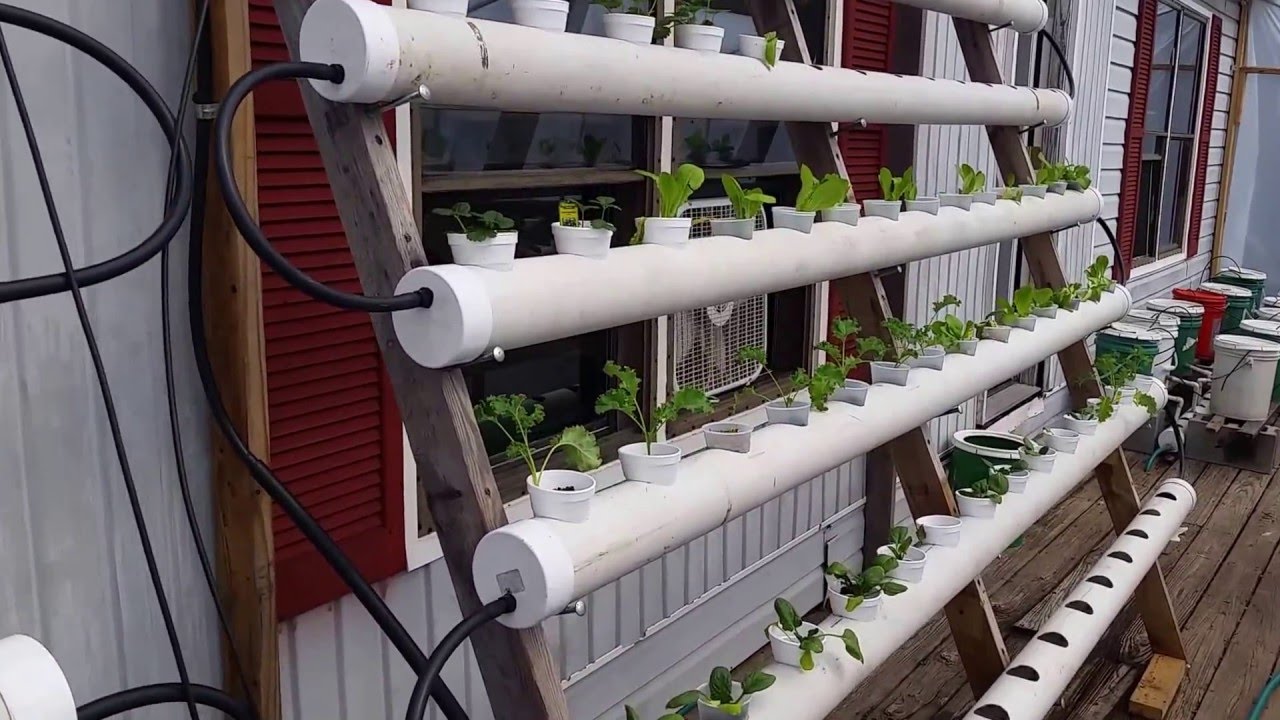 19 Diy Vertical Pvc Pipe Hydroponic Garden Ideas You Cannot Miss