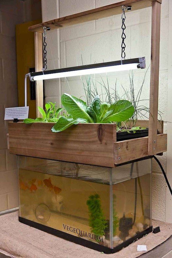 Diy Floating Hydroponic Garden Ideas Worth To Check Sharonsable