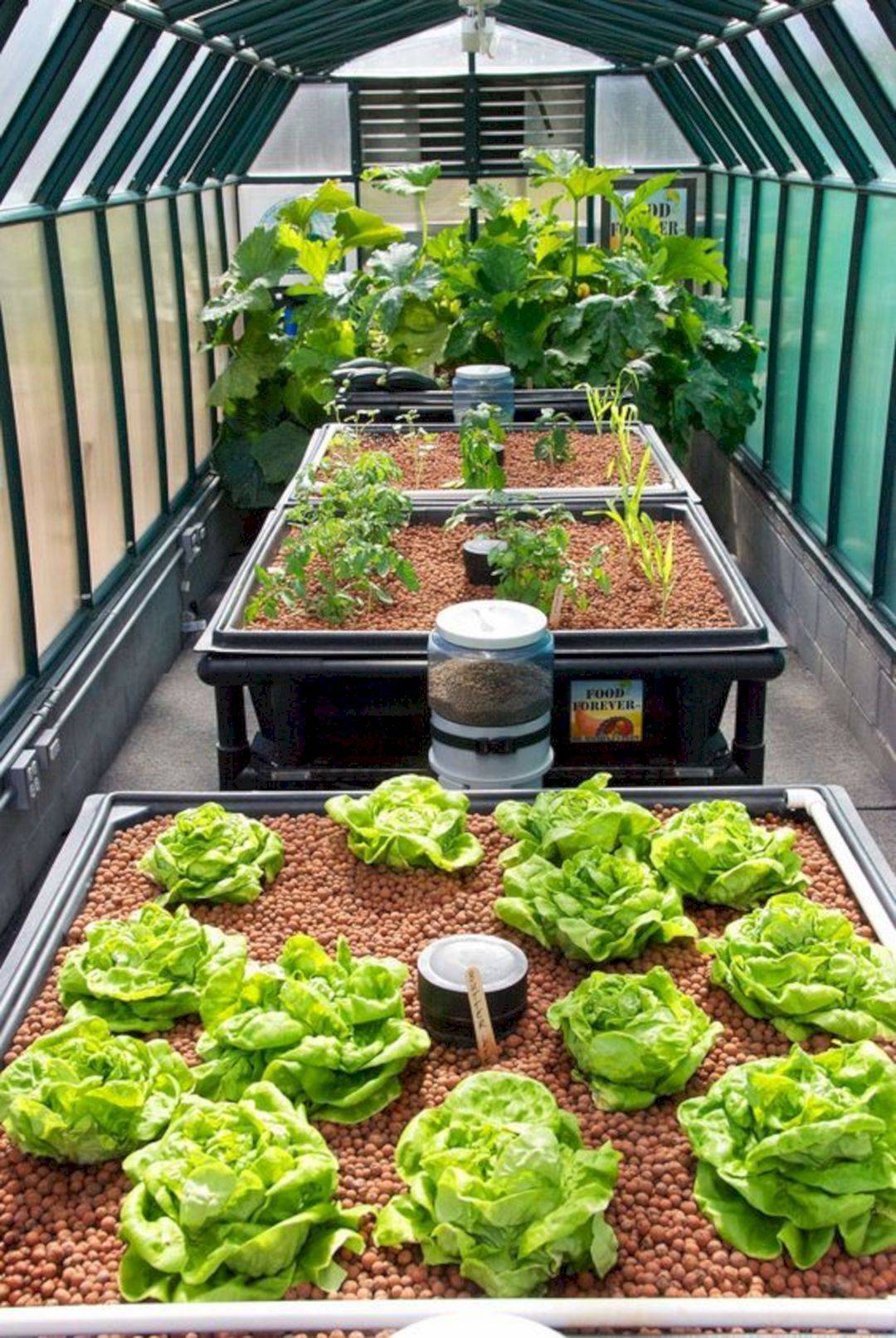 20 Best Indoor Hydroponic Garden Ideas Worth A Look Sharonsable