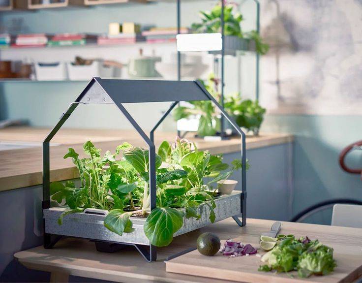 20 Best Indoor Hydroponic Garden Ideas Worth A Look Sharonsable