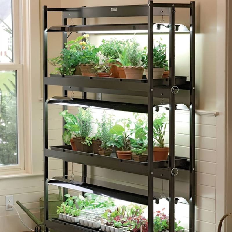 15 Indoor Food Garden Ideas To Consider Sharonsable 0901