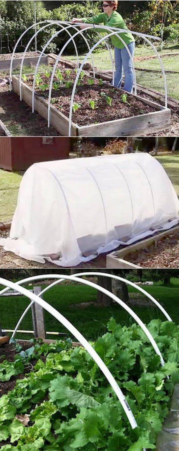 24 DIY Garden Tunnel Ideas To Try This Year | SharonSable