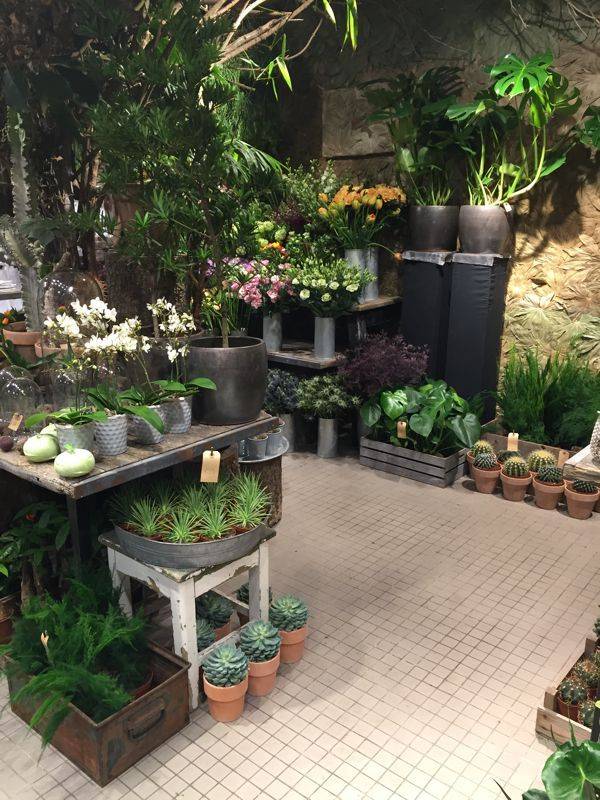 22 Indoor Garden Center Ideas To Consider SharonSable