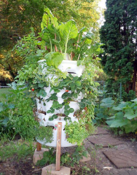 Cool Vertical Garden Ideas Page