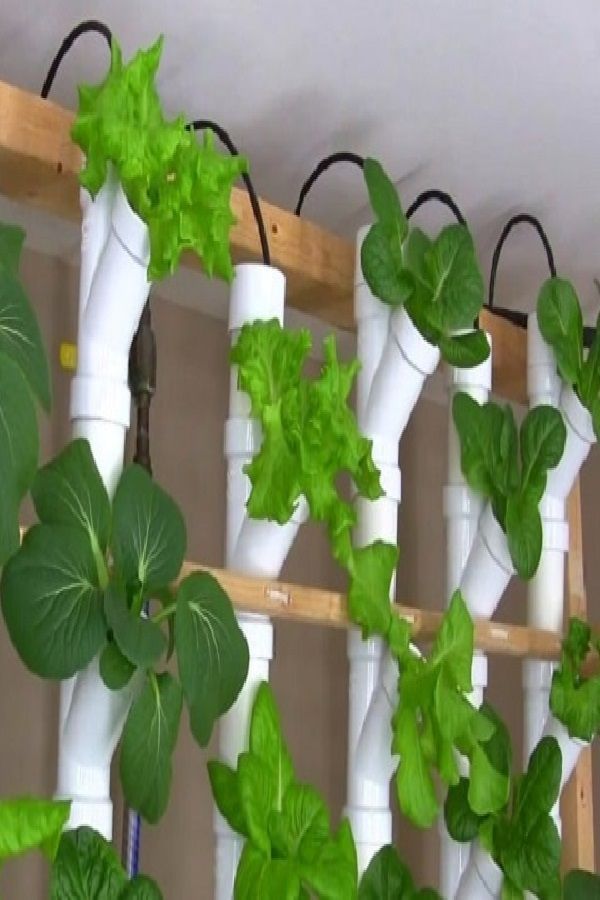 Vertical Planter Diy Indoor Inspiration Planters Project