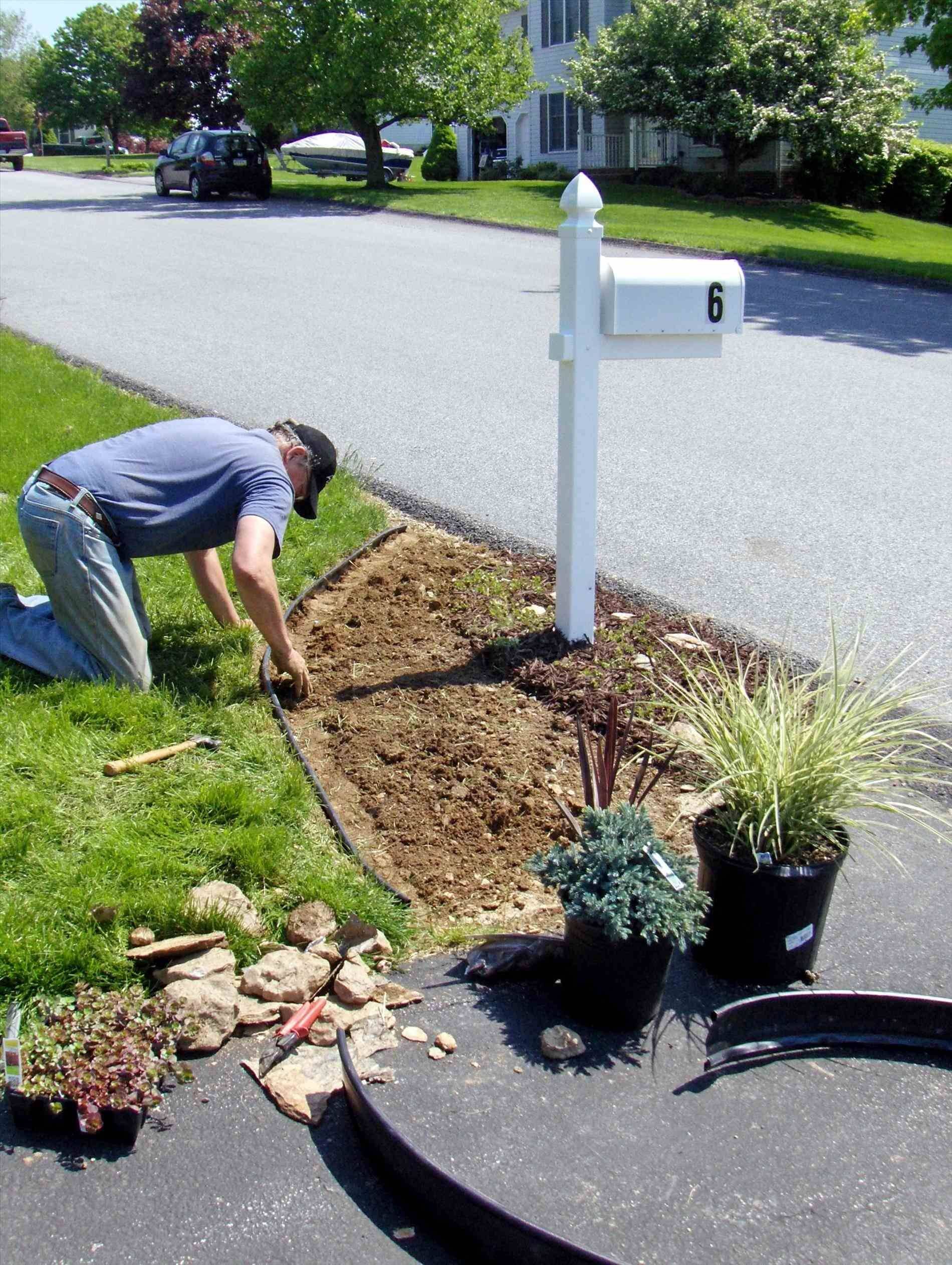 Adorable Mailbox Ideas