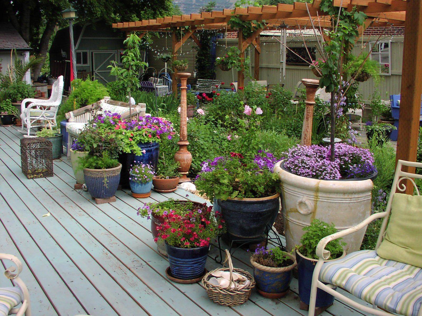 23 Planting a Deck Garden Ideas You Should Check SharonSable