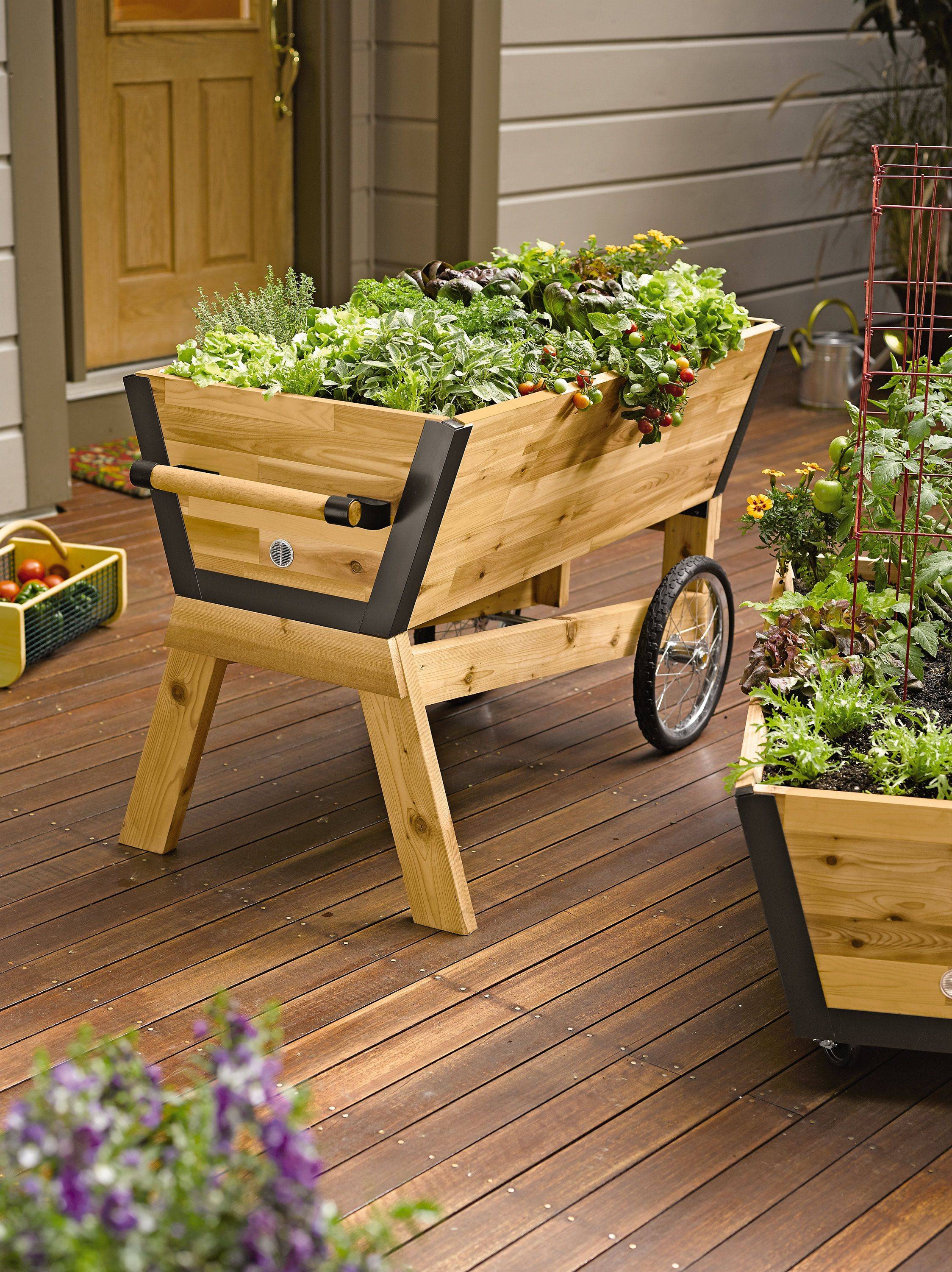 22 Elevated Garden Planter Box Ideas You Cannot Miss | SharonSable