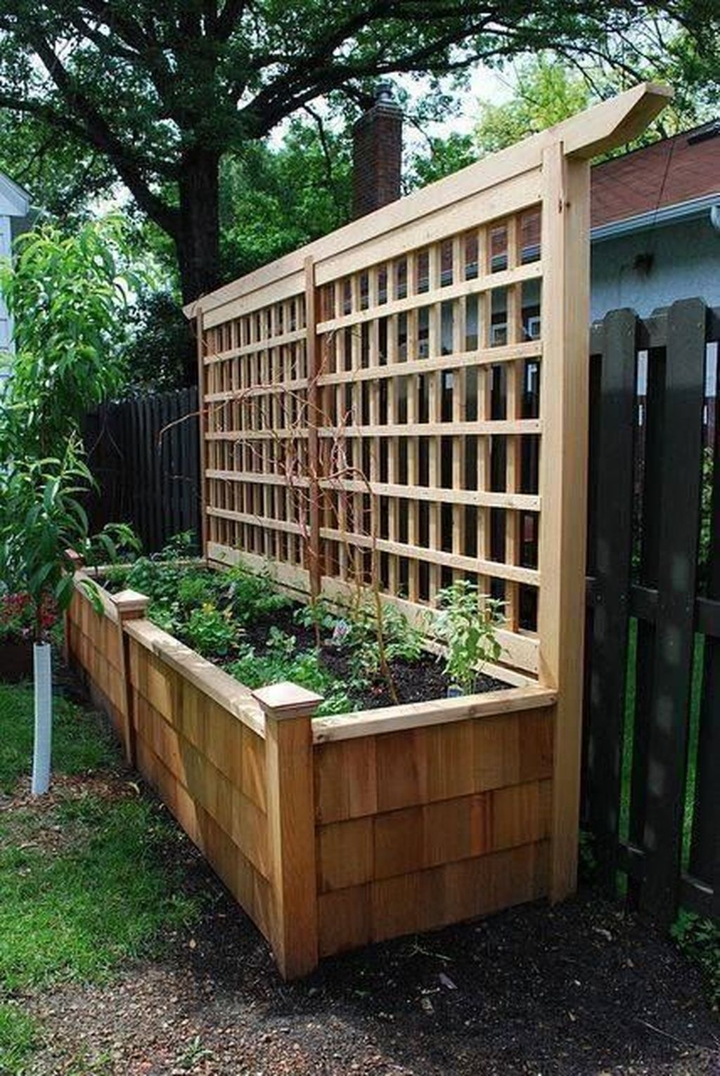 Vegetable Garden Raised Patio Backyard Planters Magnificent Elevated