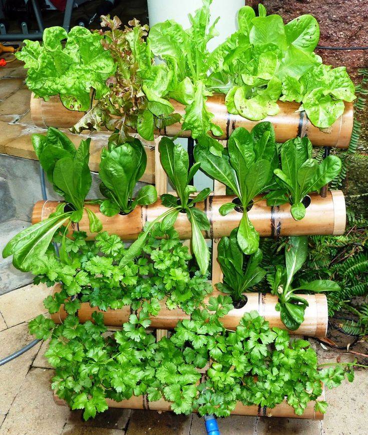 24 DIY Hydroponic Herb Garden Ideas To Consider | SharonSable