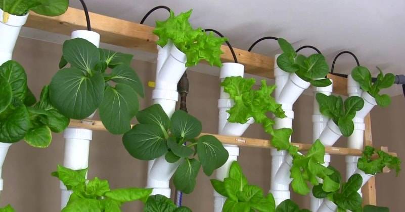 Diy Hydroponic Vertical Garden Ideas