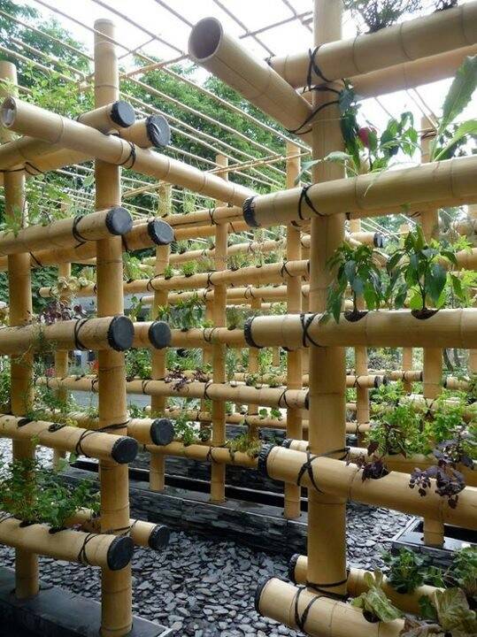 Best Diy Vertical Garden Ideas