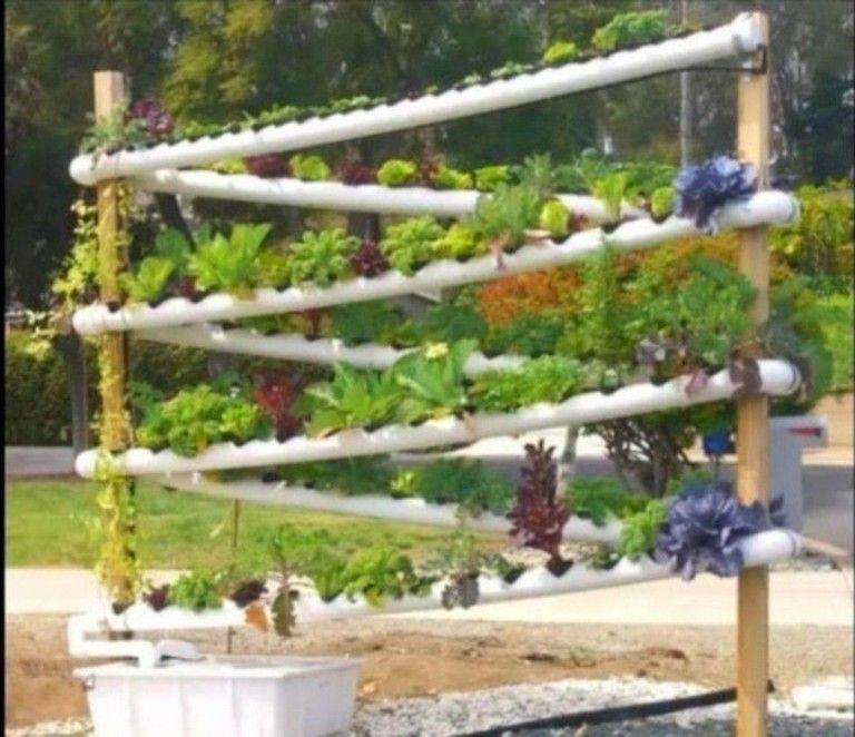 20 Hydroponic Gardening PVC Ideas You Cannot Miss | SharonSable