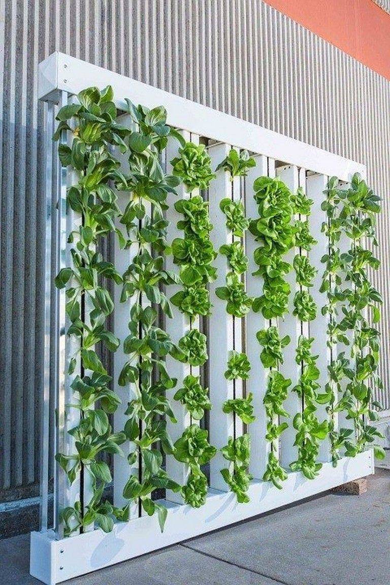 24 Hydroponic Gardening System Ideas To Try This Year | SharonSable