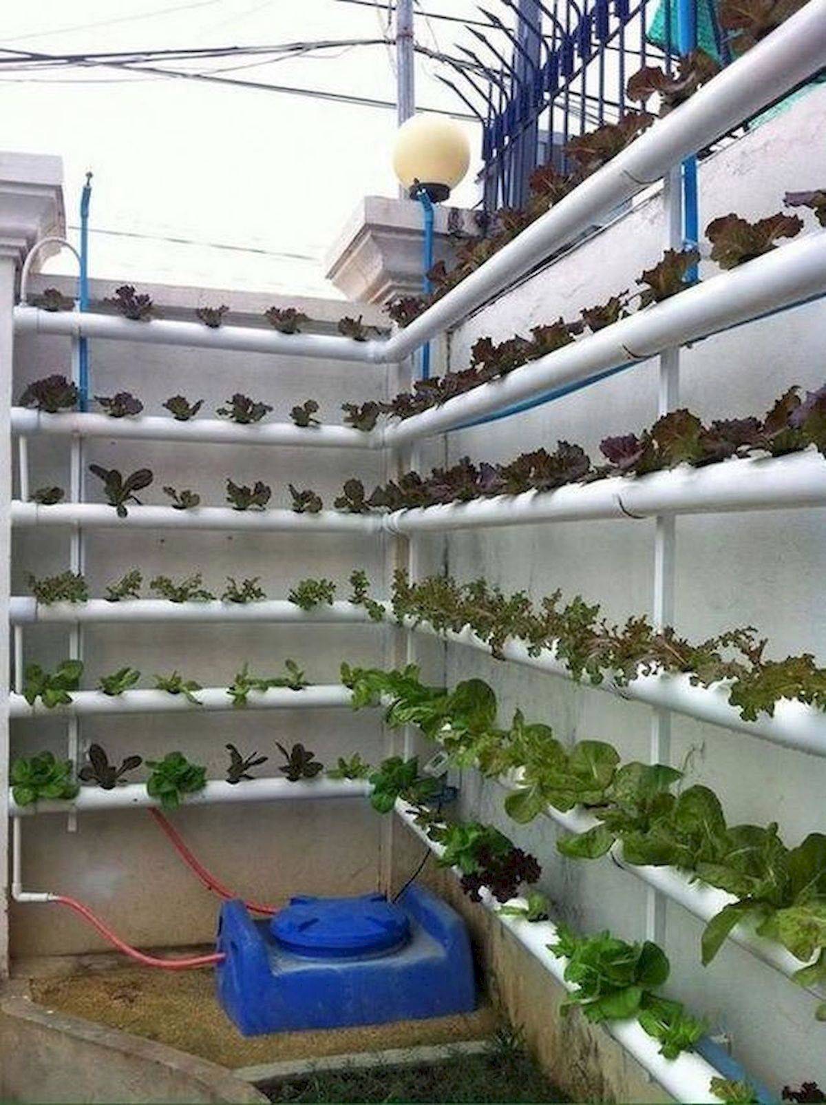 23 Homemade Hydroponic Green Wall Indoor Garden Ideas You Must Look ...