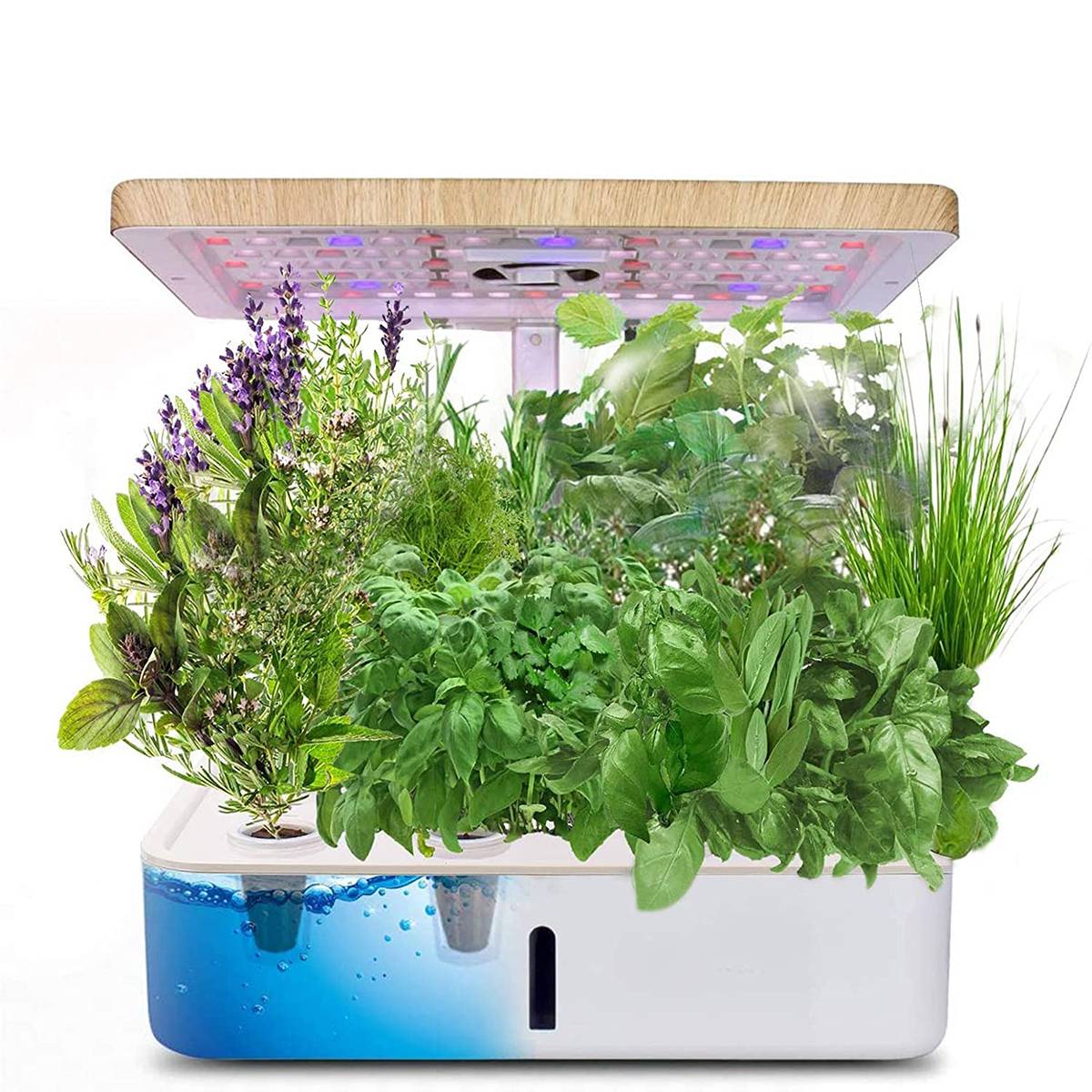 25 Indoor Hydroponic Gardening Kits Ideas You Should Look | SharonSable