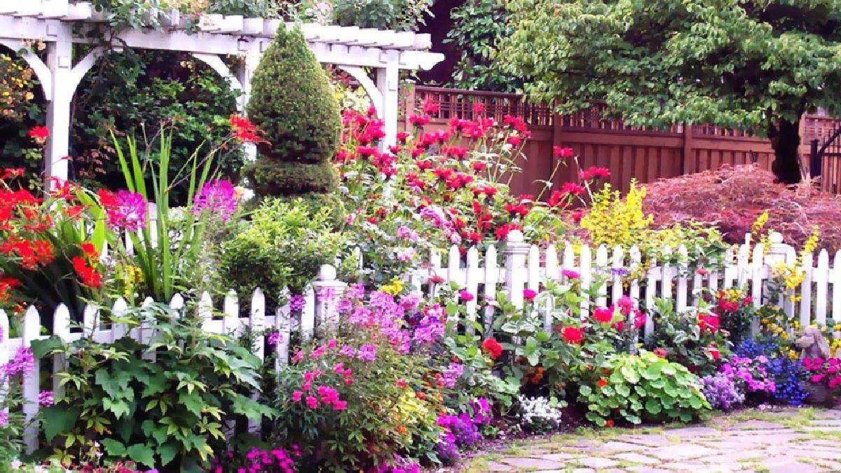 22 How To Plant A Cottage Garden Border Ideas You Should Check ...