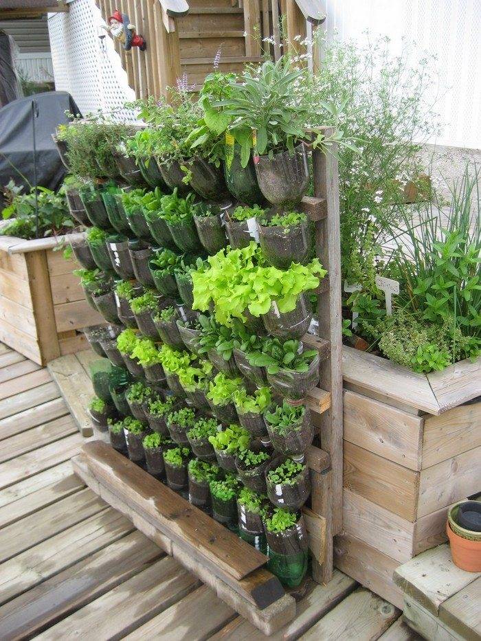 21 Plastic Soda Bottle Garden Ideas To Try This Year | SharonSable