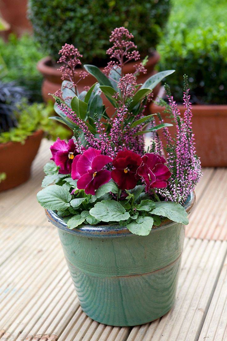 Fresh And Easy Summer Container Garden Flowers Ideas Container