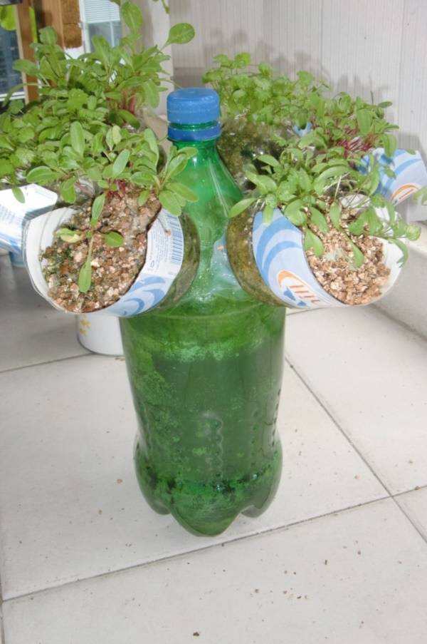 Upcycled Bottle Planters