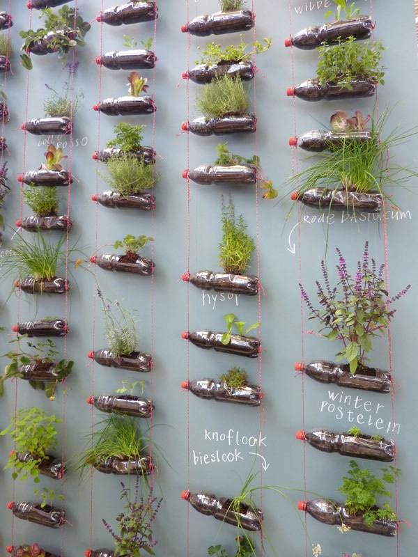 Recycled Gardening Ideas
