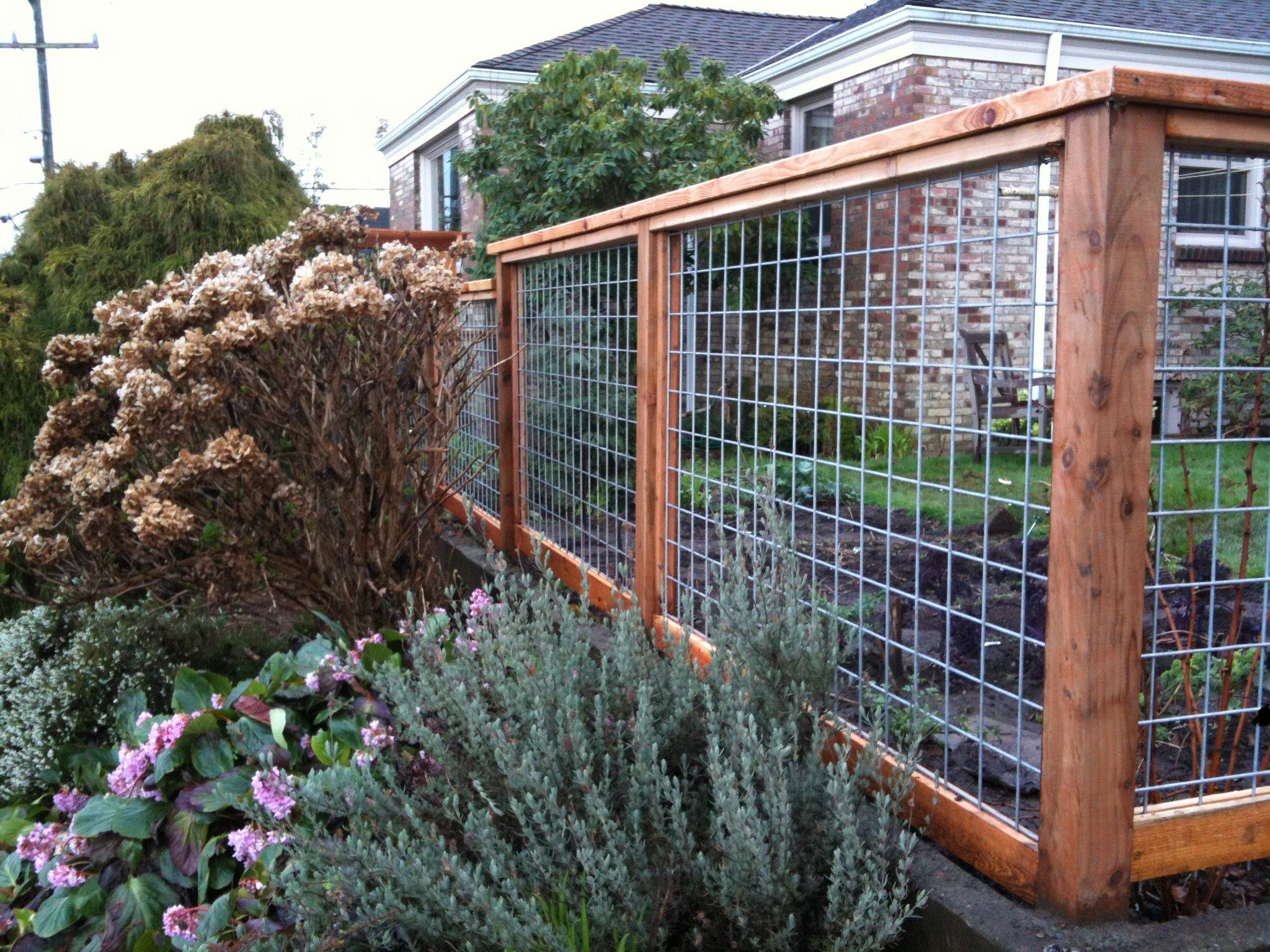 23 Wire Garden Fence Design Ideas You Should Look SharonSable