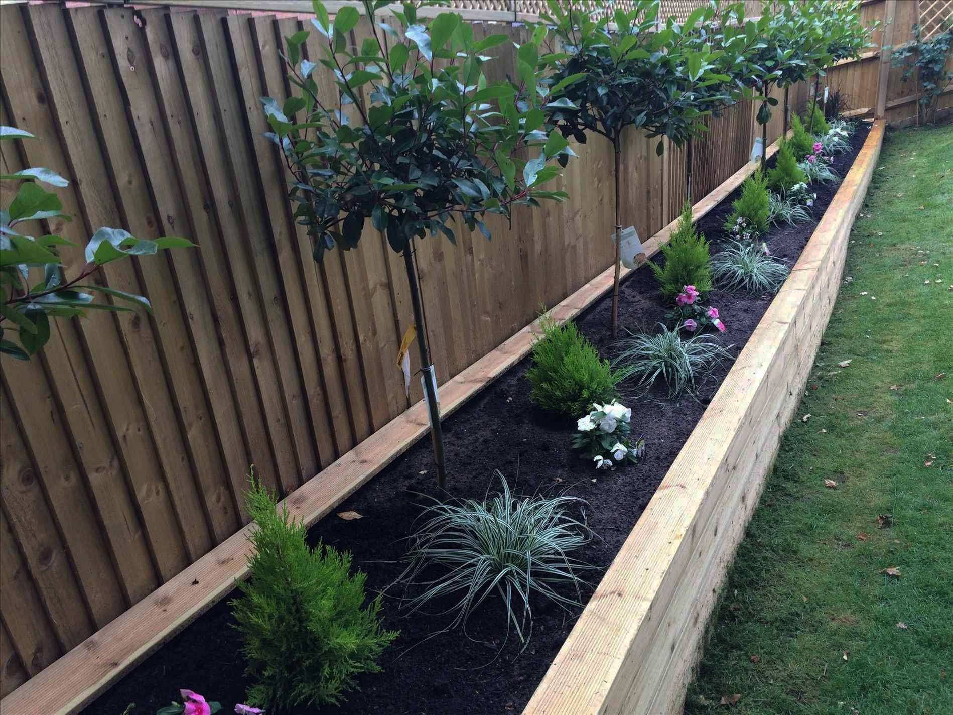 Small Garden Border Fence Ideas To Consider Sharonsable