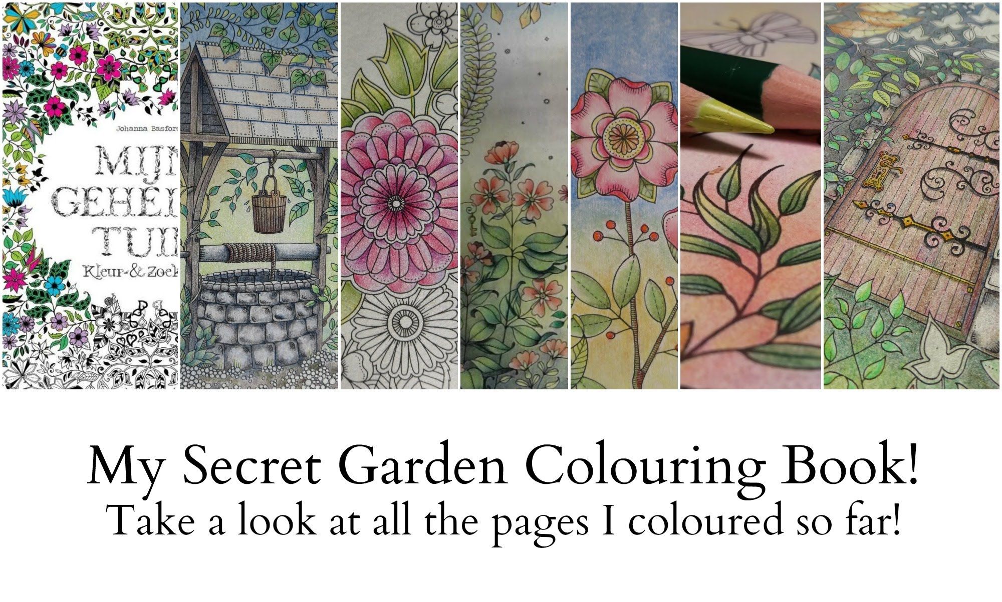 22 Secret Garden Coloring Book Ideas Worth to Check SharonSable