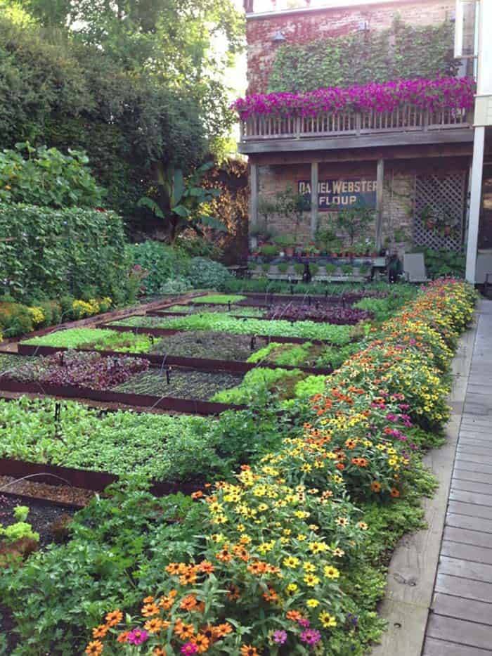 19 Vegetable Garden Ideas To Try This Year Sharonsable 1092