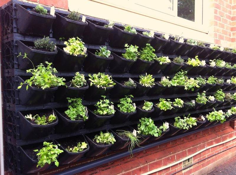 Smart Vertical Garden Ideas