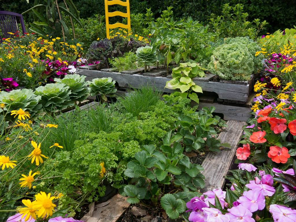 18 Ornamental Vegetable Garden Ideas To Try This Year Sharonsable