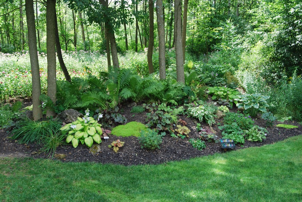 20 Forest Garden Ideas You Should Check | SharonSable