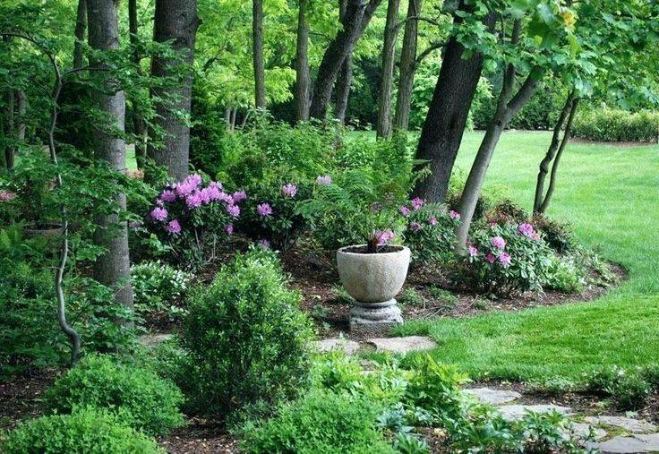 19 Shade Garden Plans Zone 6 Ideas For This Year | SharonSable