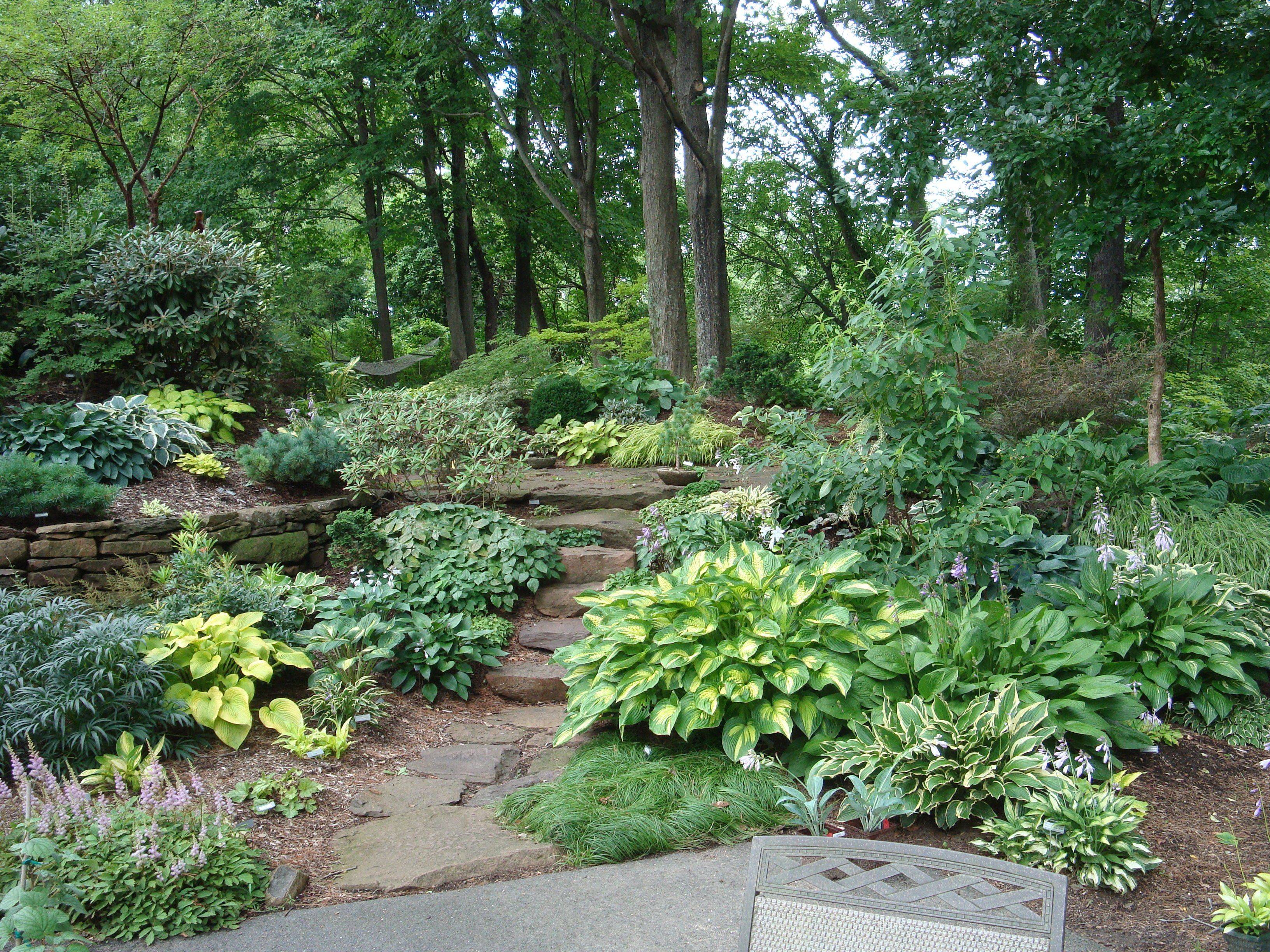 Shade Garden Plant Design Ideas You Cannot Miss Sharonsable