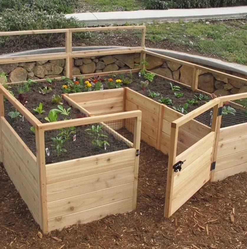 15 Sams Club Raised Garden Beds Ideas You Must Look SharonSable