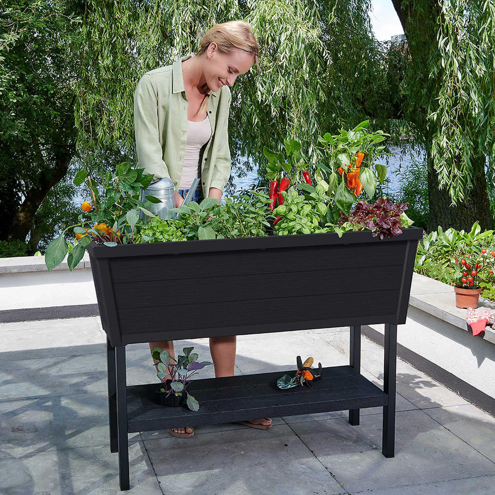 15 Sams Club Raised Garden Beds Ideas You Must Look | SharonSable